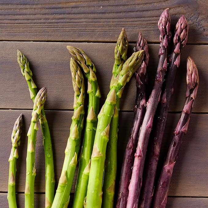 Asparagus Erasmus Crowns  2