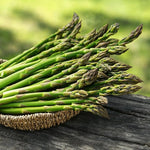 Asparagus Crowns  6