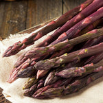 Asparagus Crowns  7