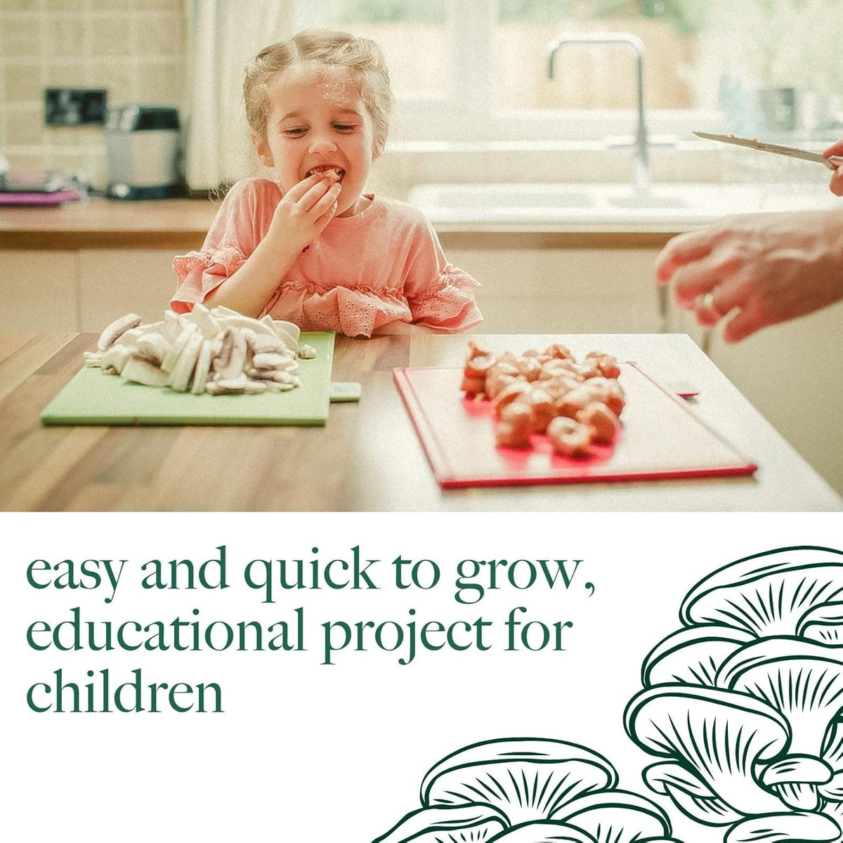 Mushroom Growing Kit Yellow Oyster  6