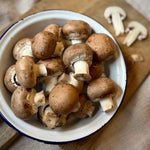 Mushroom Growing Kit  2