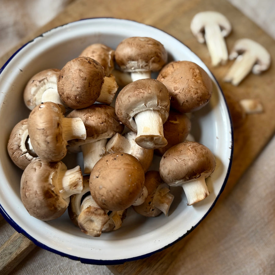 Mushroom Growing Kit  2