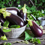Aubergine Moneymaker F1  3