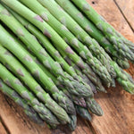Asparagus Backlim Crowns  3