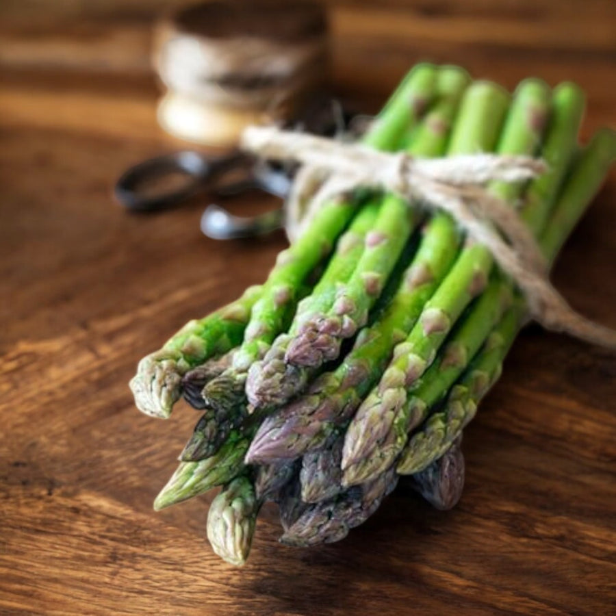 Asparagus Backlim Crowns  2