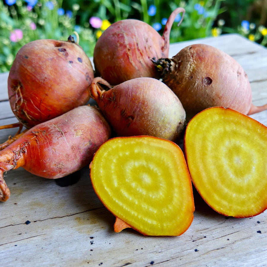 Beetroot Plant  5
