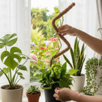 Bendable Tall Coconut Moss Pole  3