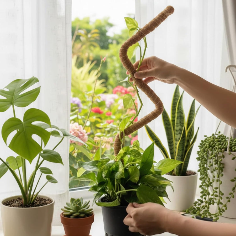 Bendable Tall Coconut Moss Pole  3