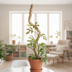 Bendable Tall Coconut Moss Pole  2