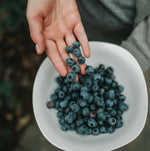 Blueberry Plant  4