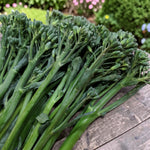 Broccoli Tenderette F1  1