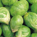 Brussels Sprouts  4