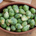 Brussels Sprout Mix Collection  3