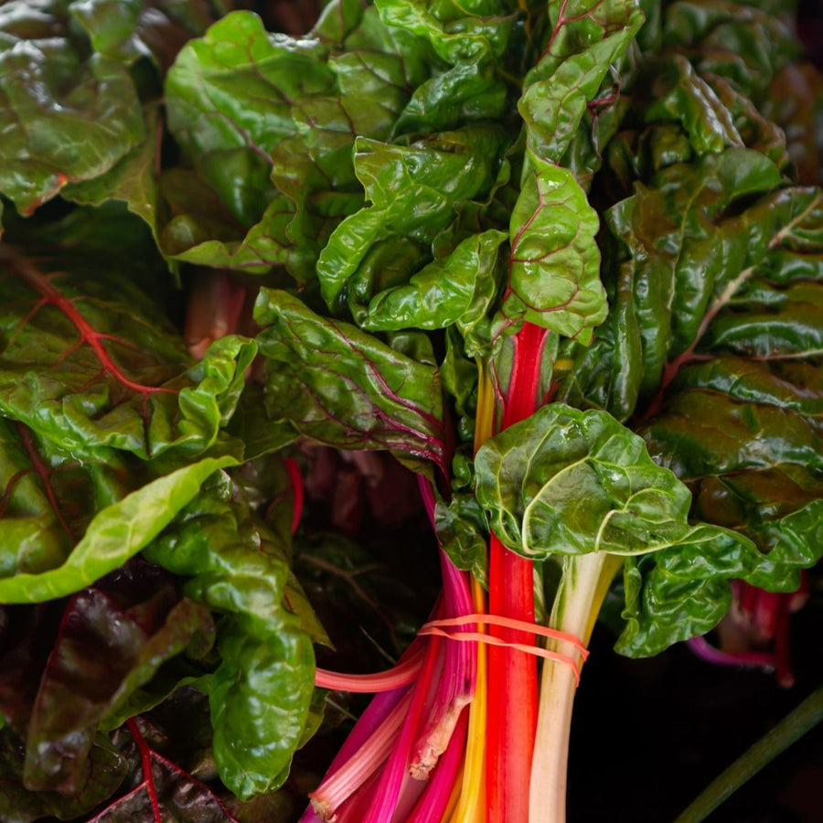 Rainbow Chard Bright Lights Beet Leaf  4