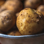 Seed Potatoes Charlotte A close-up of Charlotte seed potatoes in a metal bowl, showing earthy, slightly muddy skins and natural surface texture. 4