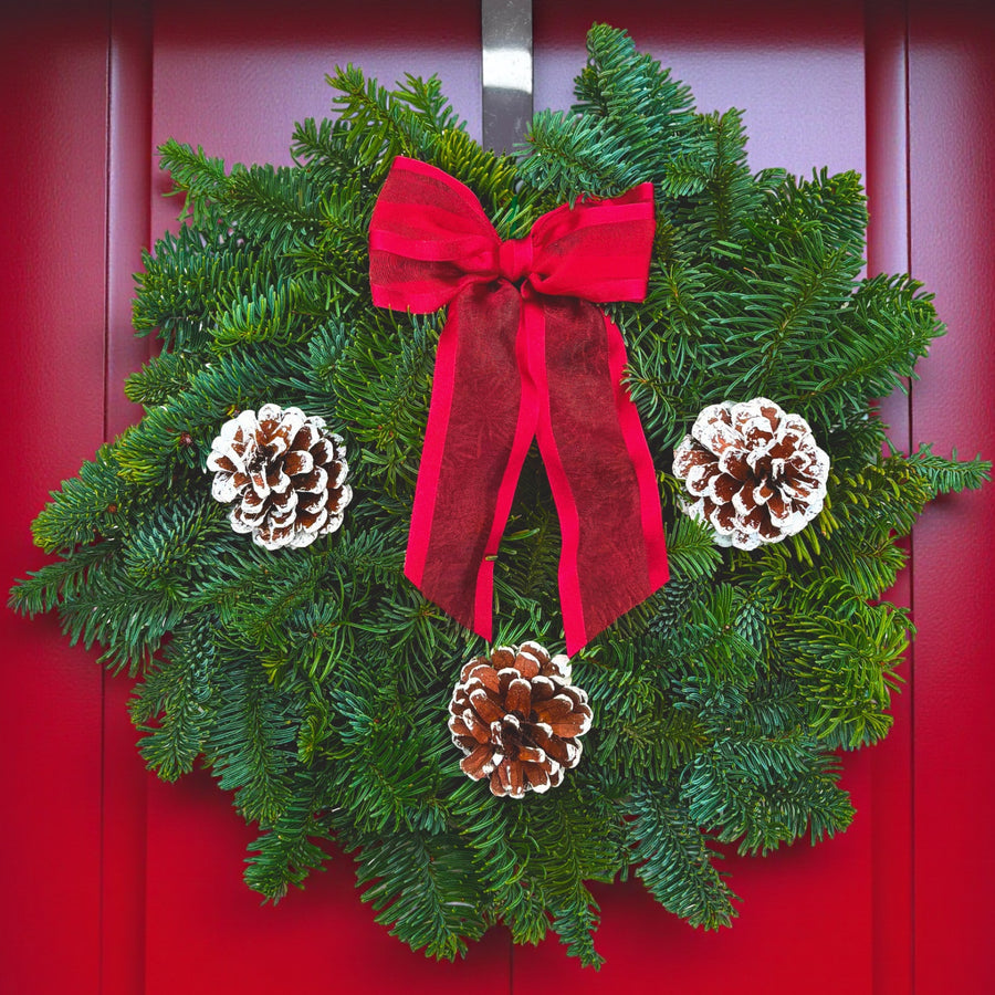 Classic Red Christmas Wreath Classic red Christmas wreath made from fresh evergreen foliage, decorated with three frosted pine cones and a red ribbon bow, hanging on a red door. 1