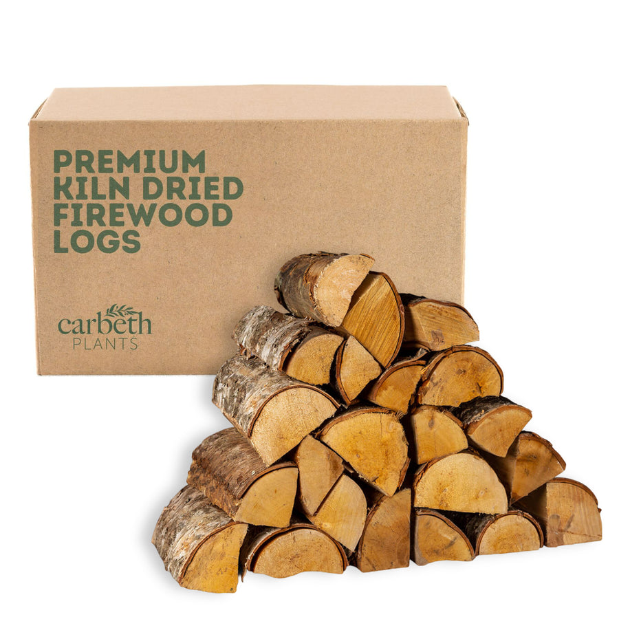 Birch Firewood Logs CUTLOGMIX-BIR - cut logs hardwood firewood 1