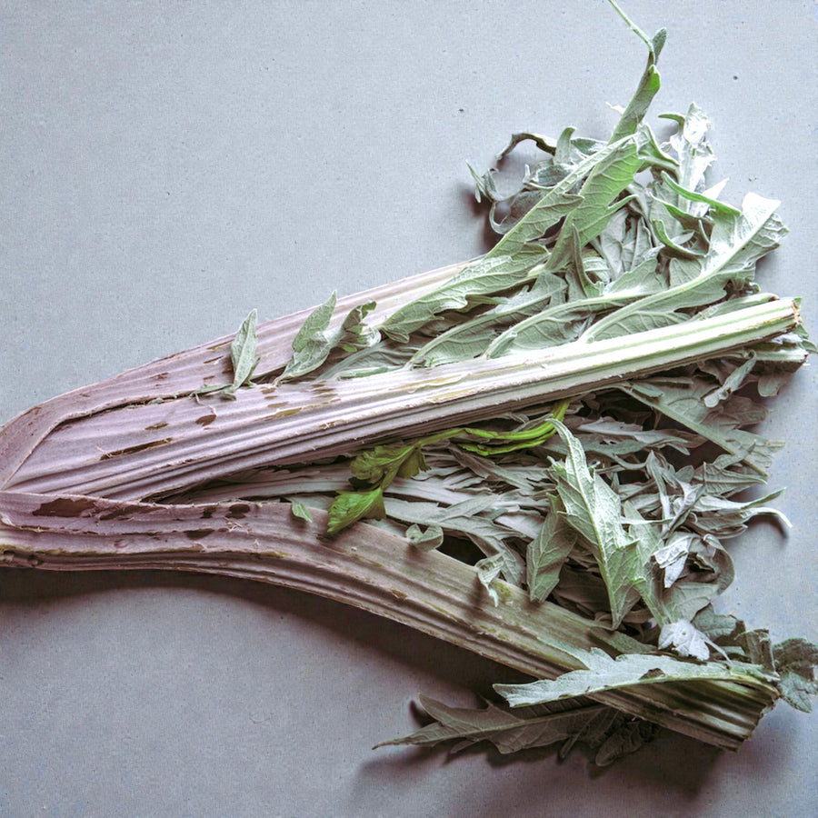 Artichoke Bare Roots  9