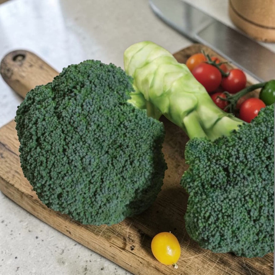 Calabrese Broccoli Green Magic F1 Plant  2