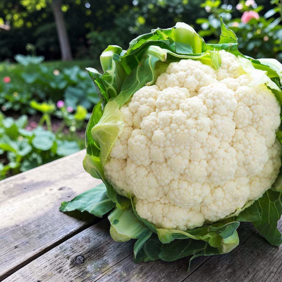 Cauliflower All Year Round  1