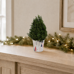 Rosemary Mini Christmas Tree  2