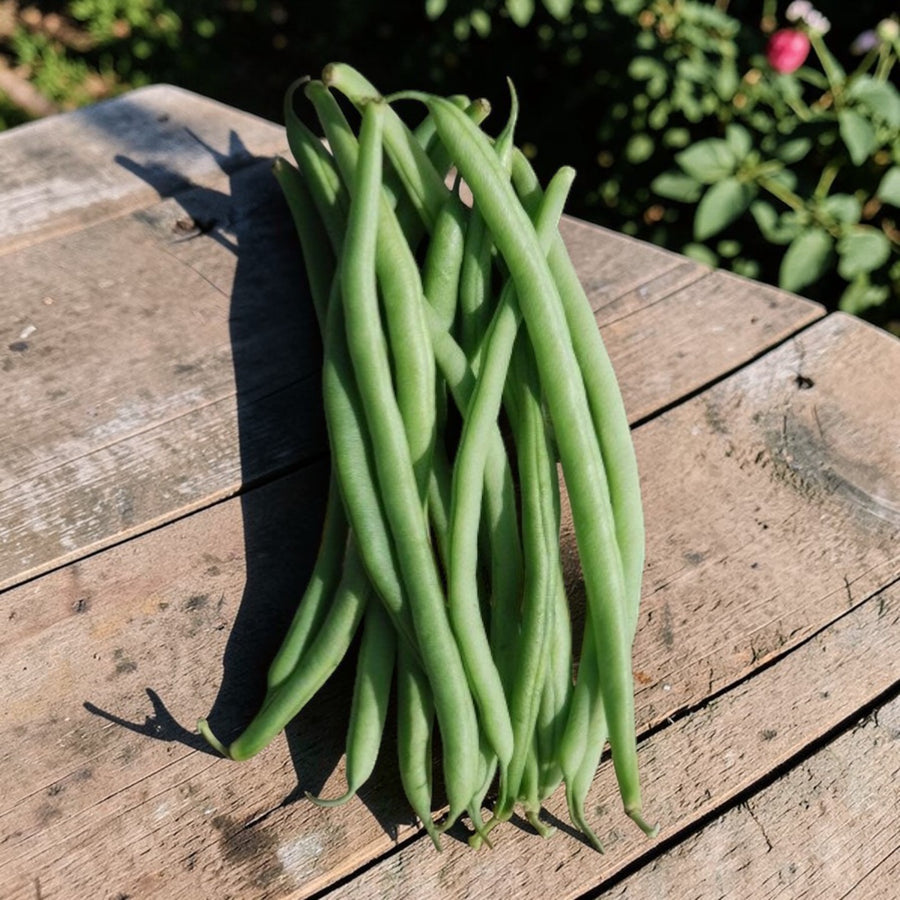 Climbing French Bean Cobra  3