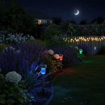 Colour Changing Solar Lights 10 Pack  2
