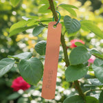 Copper Plant Label Set 5 Pack  1