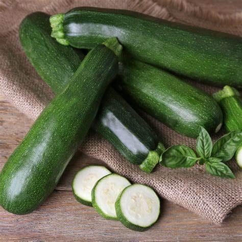 Courgette Mix Plants  5
