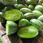 Cucamelon Plant  3