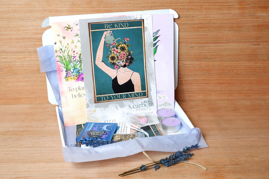 Carbeth Plants Wellness Kit - Garden Artwork Carbeth Plants Wellness Kit - Garden Artwork image1 1