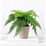 Dryopteris Affinis Artificial Fern  1