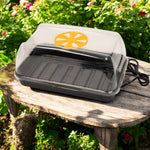 Electric Heated Propagator  1