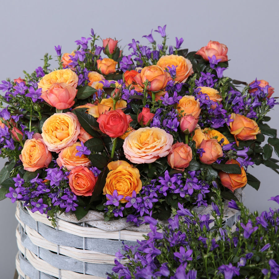 Firebird Orange Toned Indoor Rose FIREBIRDROSE-image1 5
