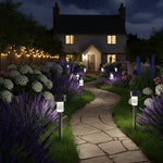 Stainless Steel Solar Garden Lights 5 Set  1