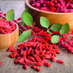 Goji Berry Plant  3