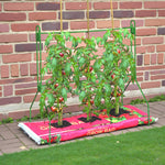 Multipurpose Reusable Frame Planter  1