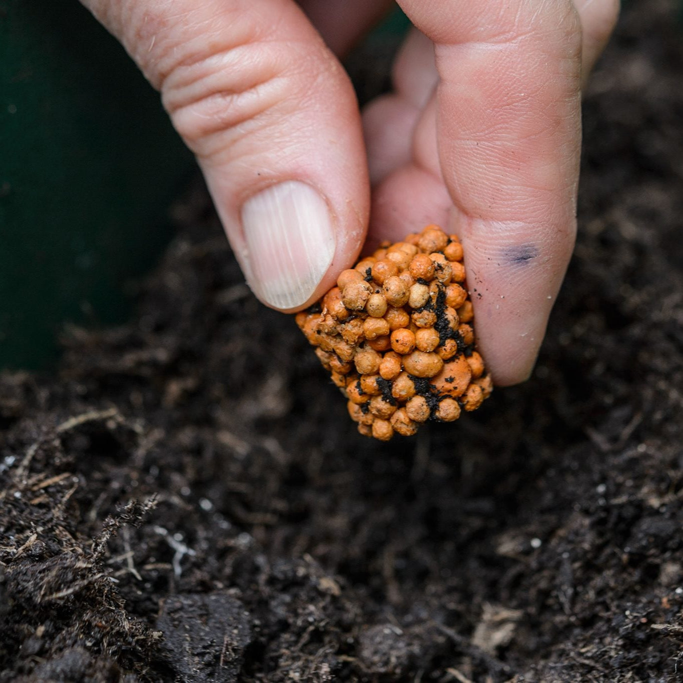 Plant Treatment