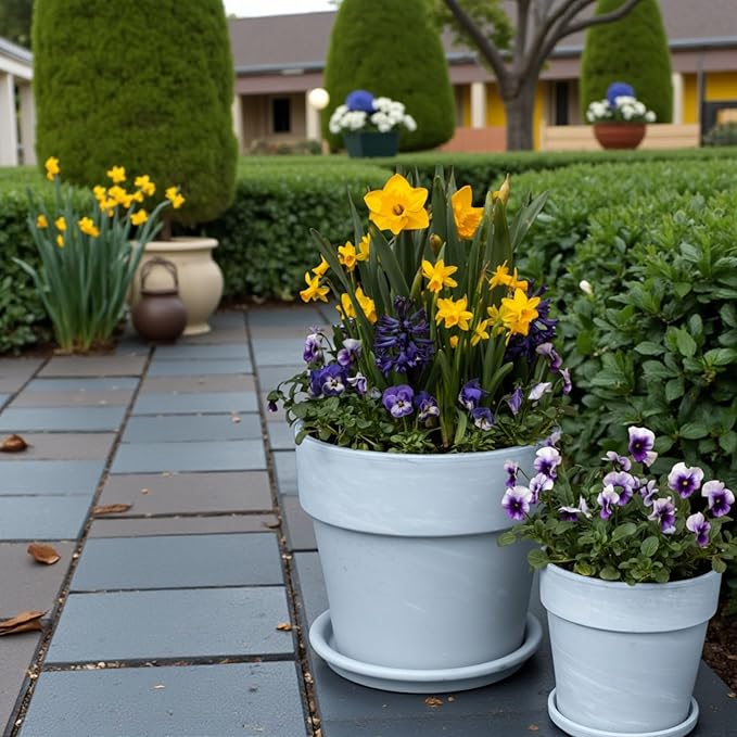 Hardy Spring Plant Collection  3