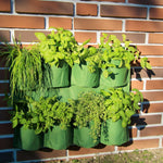 Herb Wall Planter  1