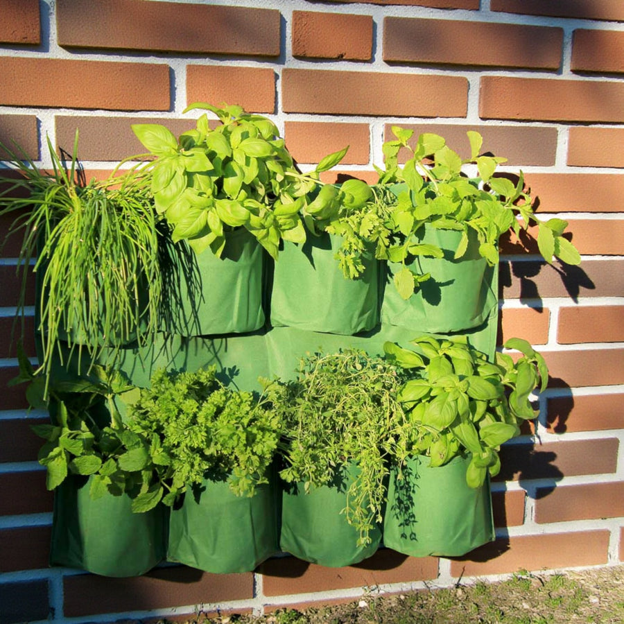Herb Wall Planter  1