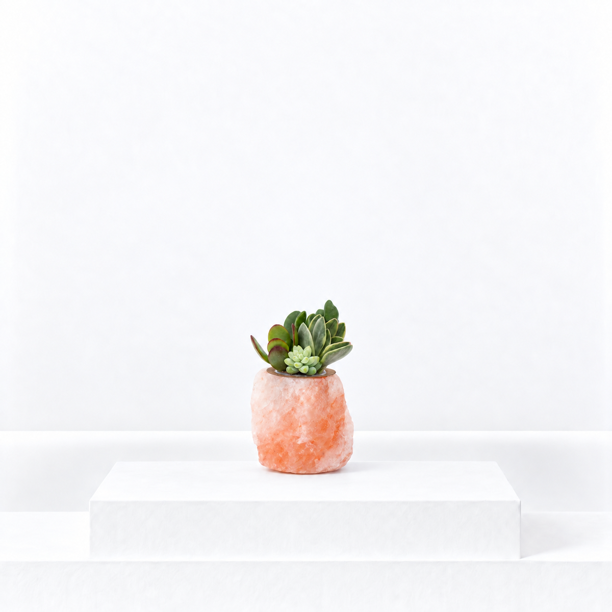 Himalayan Salt Crystal Succulent Plant