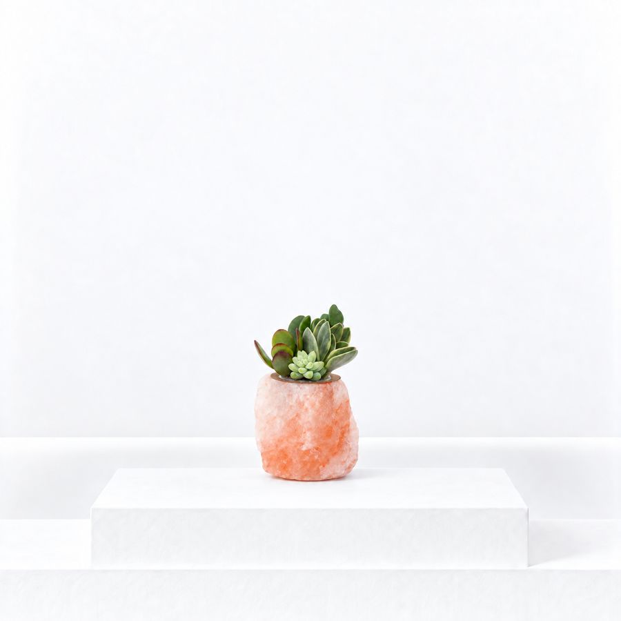 Himalayan Salt Crystal Succulent  1