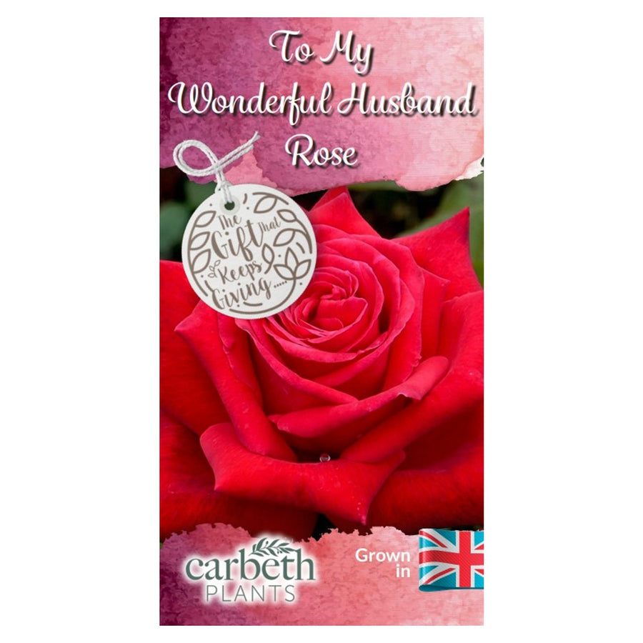 To My Wonderful Husband Rose Bush Gift Wrapped To My Wonderful Husband Rose Bush Gift Wrapped image2 2