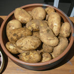 International Kidney Potato Tubers  3