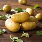 International Kidney Potato Tubers  1
