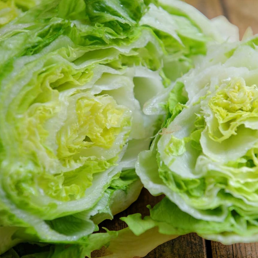 3 Lettuce Mix Collection  3