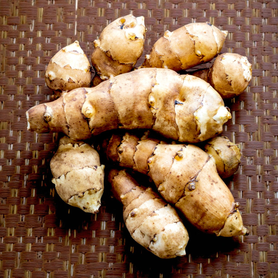Jerusalem Artichoke Bare Roots A pile of freshly harvested Jerusalem artichoke tubers with knobbly, tan-coloured skins arranged on a woven surface. 1