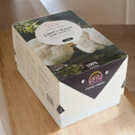 Lion's Mane Mushroom Growing Kit  3