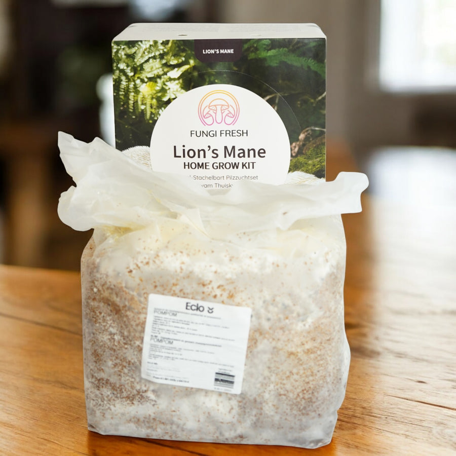 Lion's Mane Mushroom Growing Kit  2